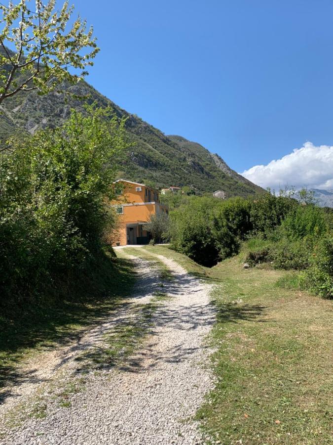 Apartman Barbara Kotor Dış mekan fotoğraf