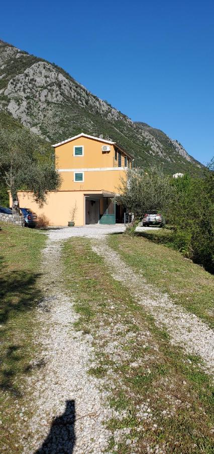 Apartman Barbara Kotor Dış mekan fotoğraf