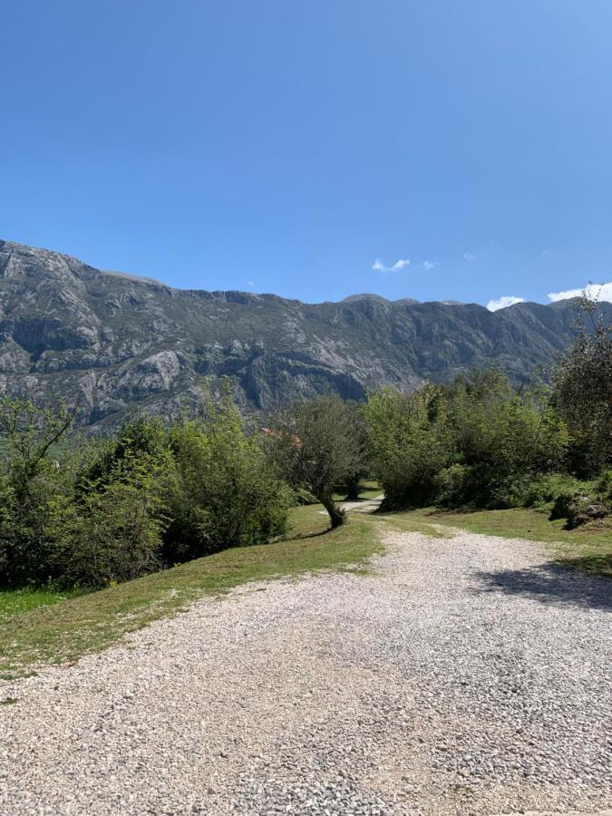 Apartman Barbara Kotor Dış mekan fotoğraf