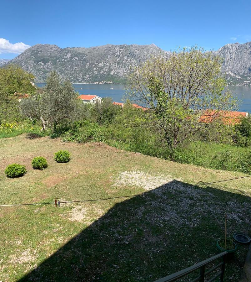 Apartman Barbara Kotor Dış mekan fotoğraf